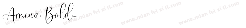Amira Bold字体转换